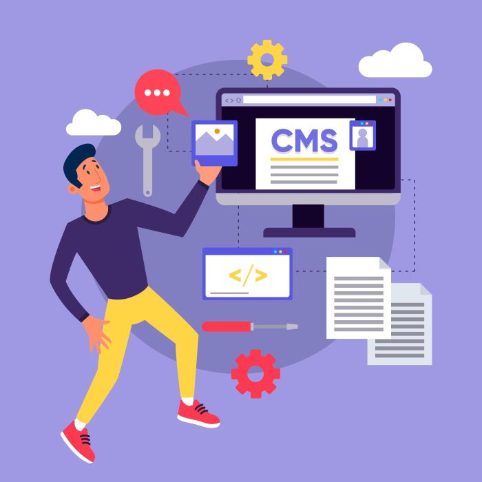 CMS Developers